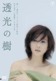 透光的树电影在线观看,光影交织的奇幻之旅