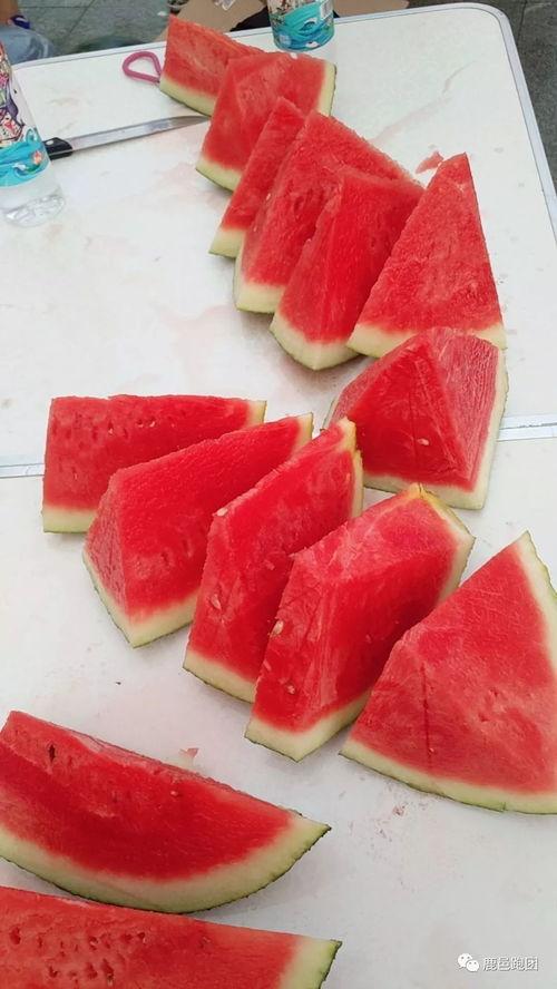 网红大赛-每日大赛-吃瓜,每日大赛现场,吃瓜群众狂欢盛宴 第3张 网红大赛-每日大赛-吃瓜,每日大赛现场,吃瓜群众狂欢盛宴 第3张