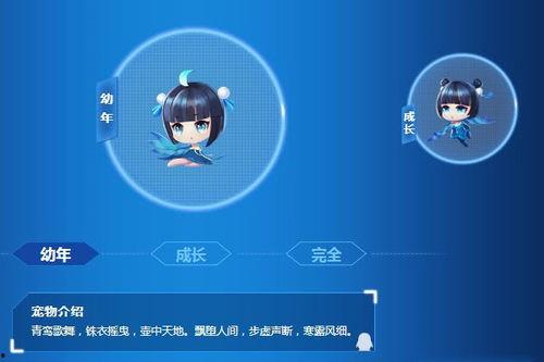 端游飞车最新宠物爆料,神秘宠物助力速度与激情